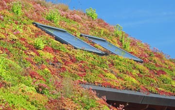 Hardington Moor living roof systems